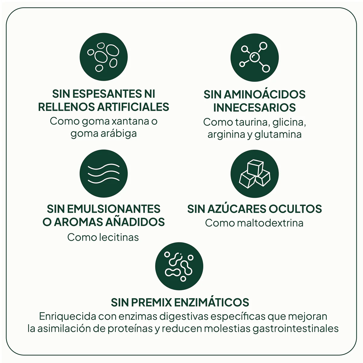 IVB PROTEINA VEGANA 500G GO START - Imagen 2